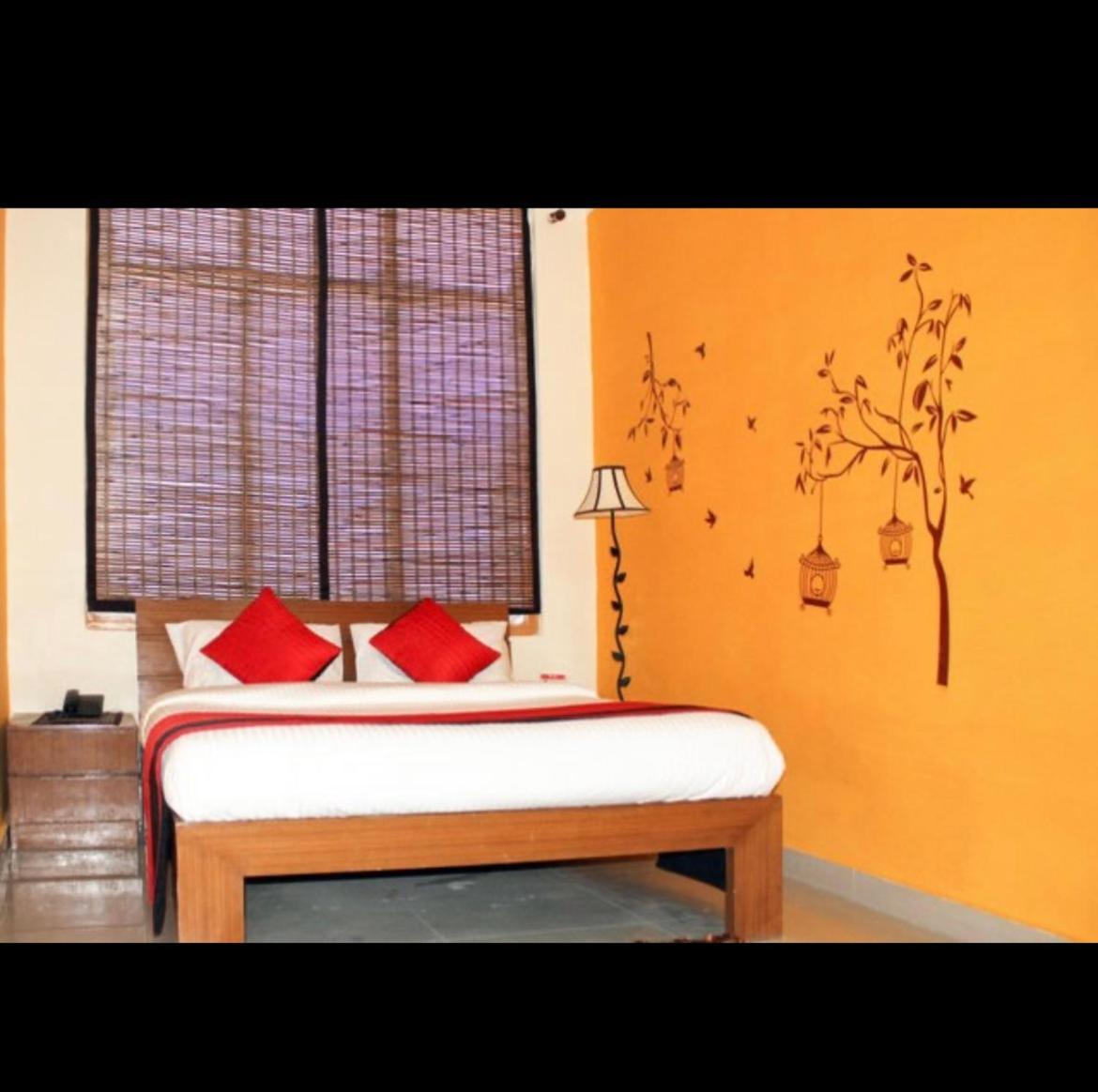 Hotel Samrat 尼玛纳 外观 照片